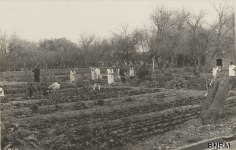 حديقة أو منتزه رأس العين ( الجردة كما يطلق عليها محليا )